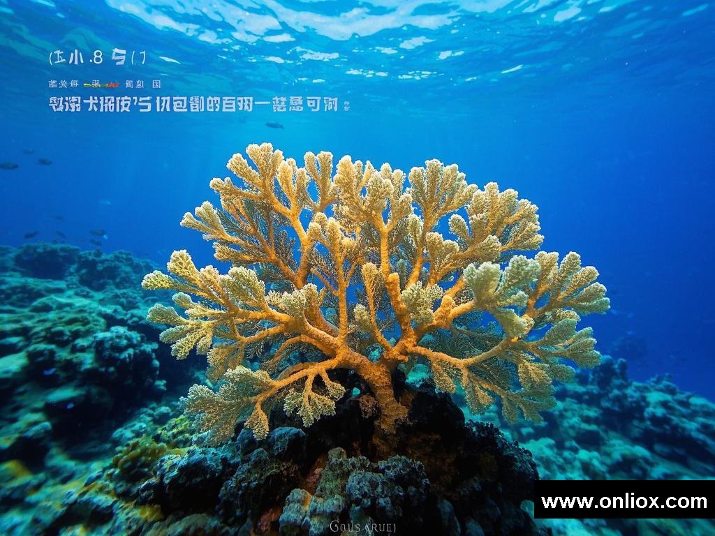 歌声里的别样故事与心动瞬间